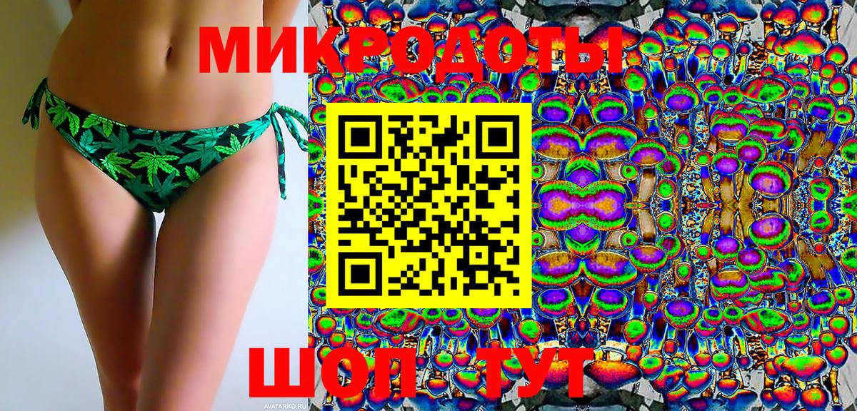 Ковров  Псилоцибиновые грибы Psilocybe  Вход с VPN 
